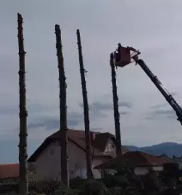 Ugodne nizke gradnje posavje