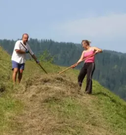 Sobe Solčava