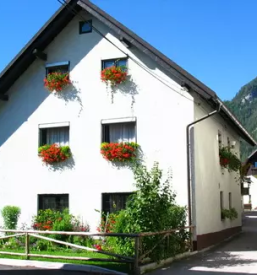 Ugodni druzinski apartma kranjska gora