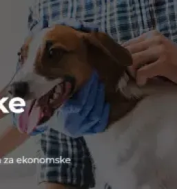 Ugodno veterinarstvo prekmurje