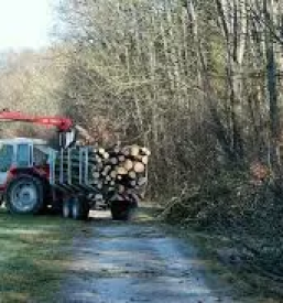 Urejanje gozdnih poti podravska