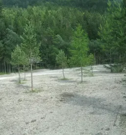 kmetijske povrsine gorenjska