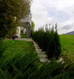 Kakovostno urejanje okolice Ljubljana, okolica