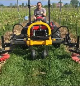 Vendita di macchine agricole e botti in legno goriziano