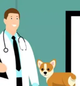 Dober veterinar Ljubljana