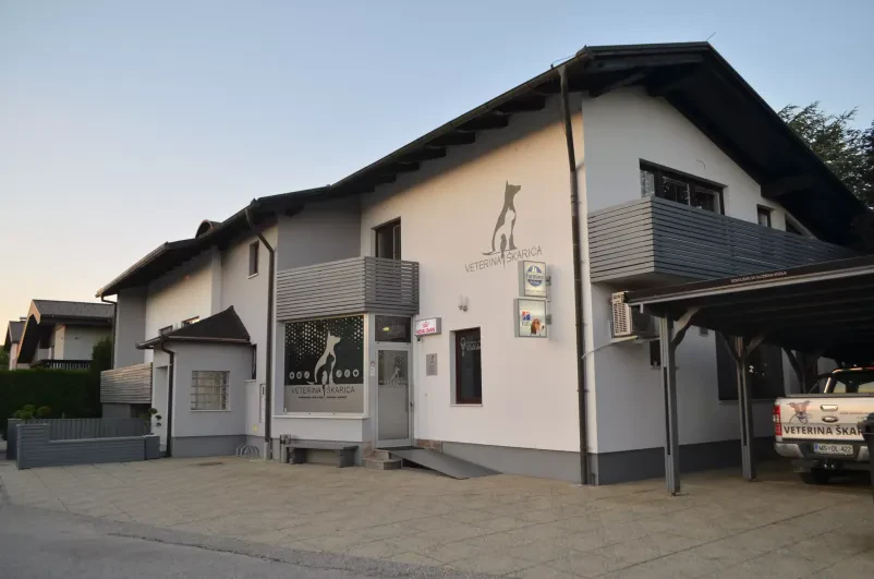 Dobra veterinarska ambulanta Murska Sobota