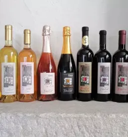 Vina in likerji kras