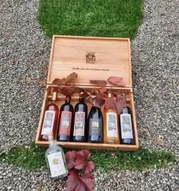 Vina in likerji kras