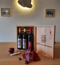 Vino teran kras