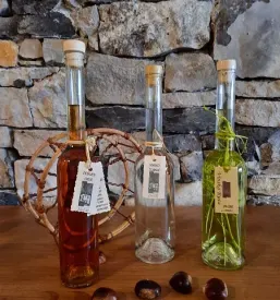 Vino teran kras