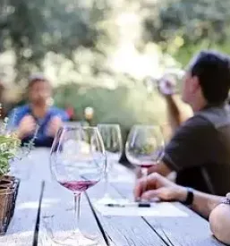 Vinogradniška kmetija Primorska