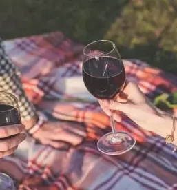 Vinogradniška kmetija Kras