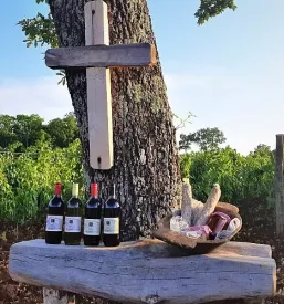 Vinogradniska kmetija nova gorica