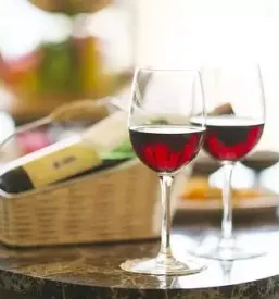 Vinska degustacija vipava