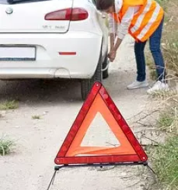 Vleka vozil slovenske konjice savinjska