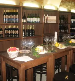 Vrhunska buteljcna vina stajerska