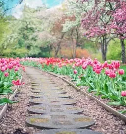 Vrt arboretum celje