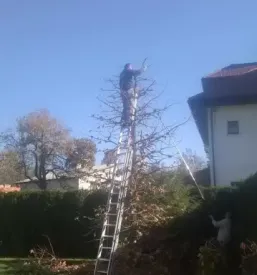 Kakovostno vzdrževanje okolice Gorenjska