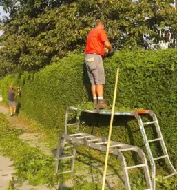 Vzdrževanje in ureditev okolice Gorenjska