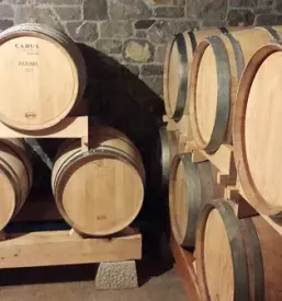Wine tasting teran kras