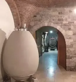 Wine tasting teran primorska