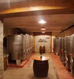 Wine tasting vipava