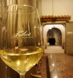 Wine tasting vipava
