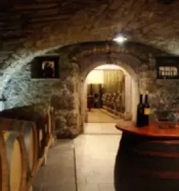Wine tasting vipava