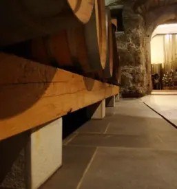 Wine tasting vipava
