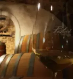 Wine tasting vipava