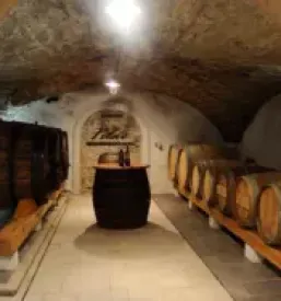 Wine tasting vipava