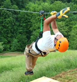 Zipline podravska