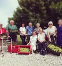 Aktivnosti v domu starejših Obala