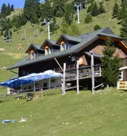 Apartma na krvavcu