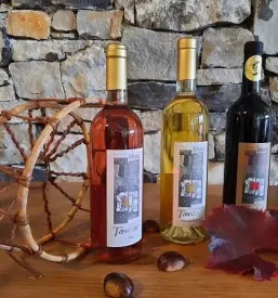 Degustacija vin teran primorska