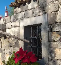 Degustacija vin teran primorska