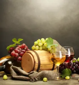 Degustacija vin Vipavska dolina