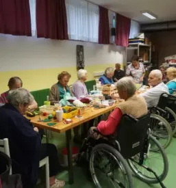 Delovna terapija za starejše Domžale, Slovenija