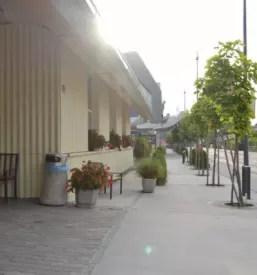 Kakovostna delovna terapija za starejše Domžale