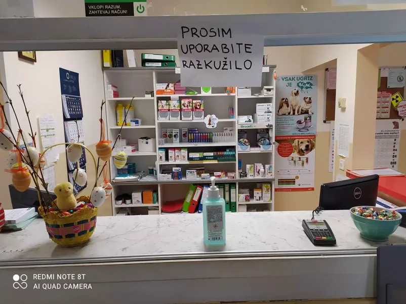 Dober veterinar Bela krajina