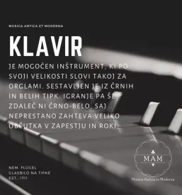 Dobra glasbena sola Ljubljana, Osrednja Slovenija