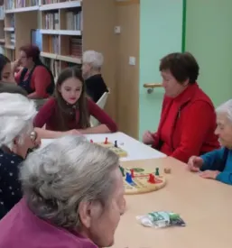 Nastanitev na domu za starejše Murska Sobota