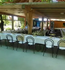 Domaca kosila prekmurje