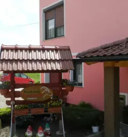 Sveži domači skutni izdelki Slovenija