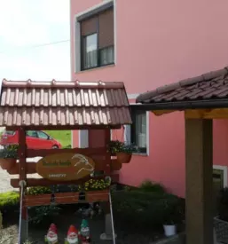 Najboljši domač sir Ilirska Bistrica Slovenija