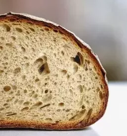 Sveže pecivo Primorska