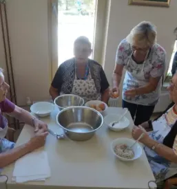 Dostava kosil upokojencem Domžale, Osrednja Slovenija