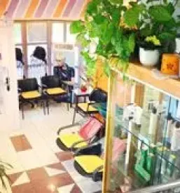 Ugoden frizerski salon Novo mesto