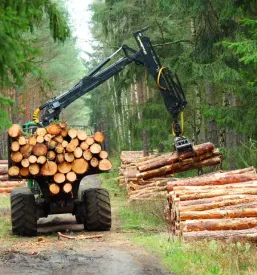 Gozdarske storitve murska sobota