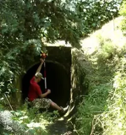 Hitre zakoličbe Primorska, Slovenija